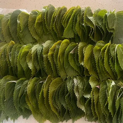 깻잎나물