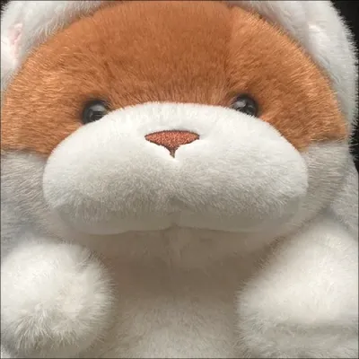인형뽑기