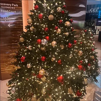 Merry Christmas